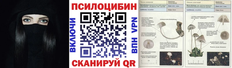Псилоцибиновые грибы Psilocybine cubensis даркнет сайт Приволжск